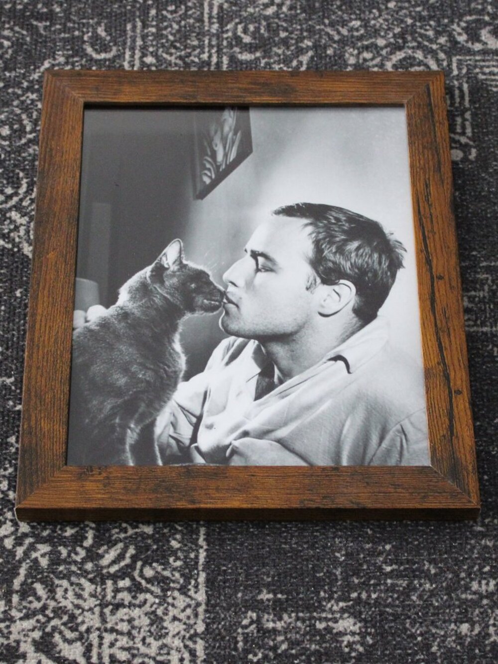 Marlon Brando Kissing Cat Photo Print 8x10 Vintage Hollywood Wall Decor Art
